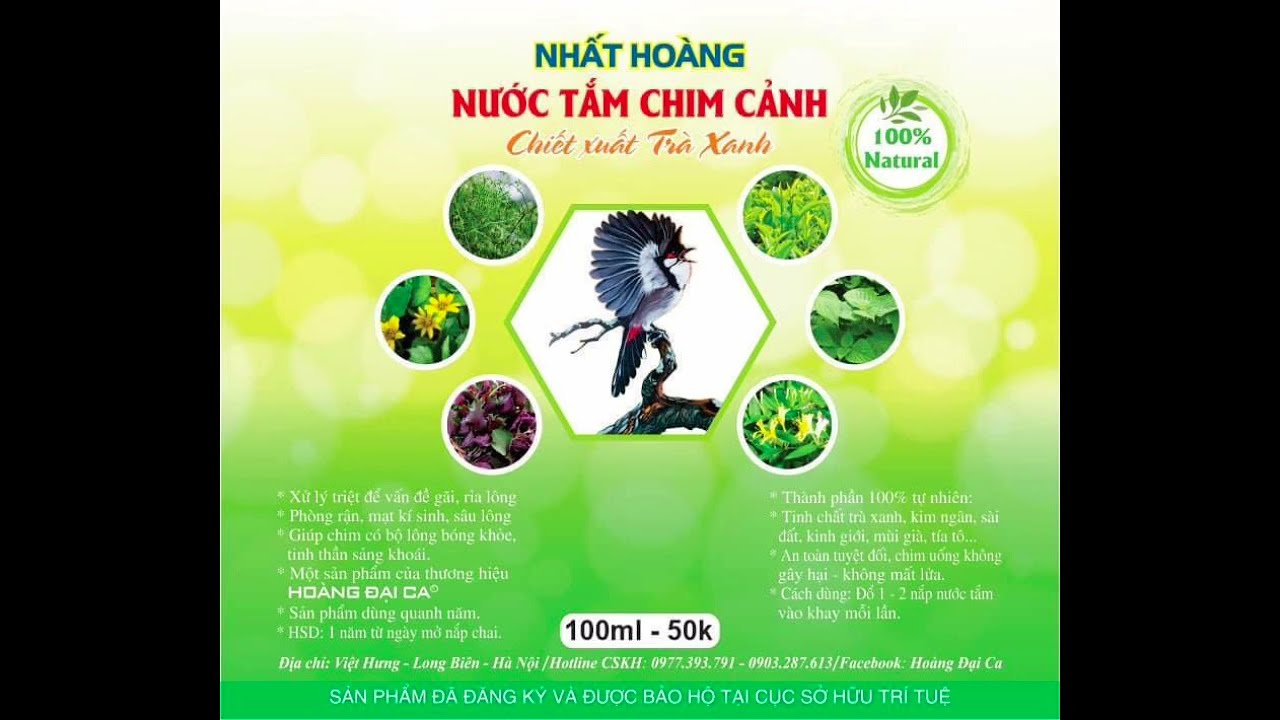 Cách Chăm Chào Mào Thi Đấu - Tối Ưu Hóa Giấc Ngủ Nghỉ Để Nâng Cao Hiệu Suất