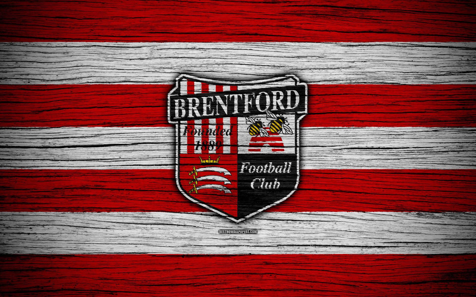 Brentford - Câu lạc bộ bóng đá lâu đời và nổi tiếng tại London