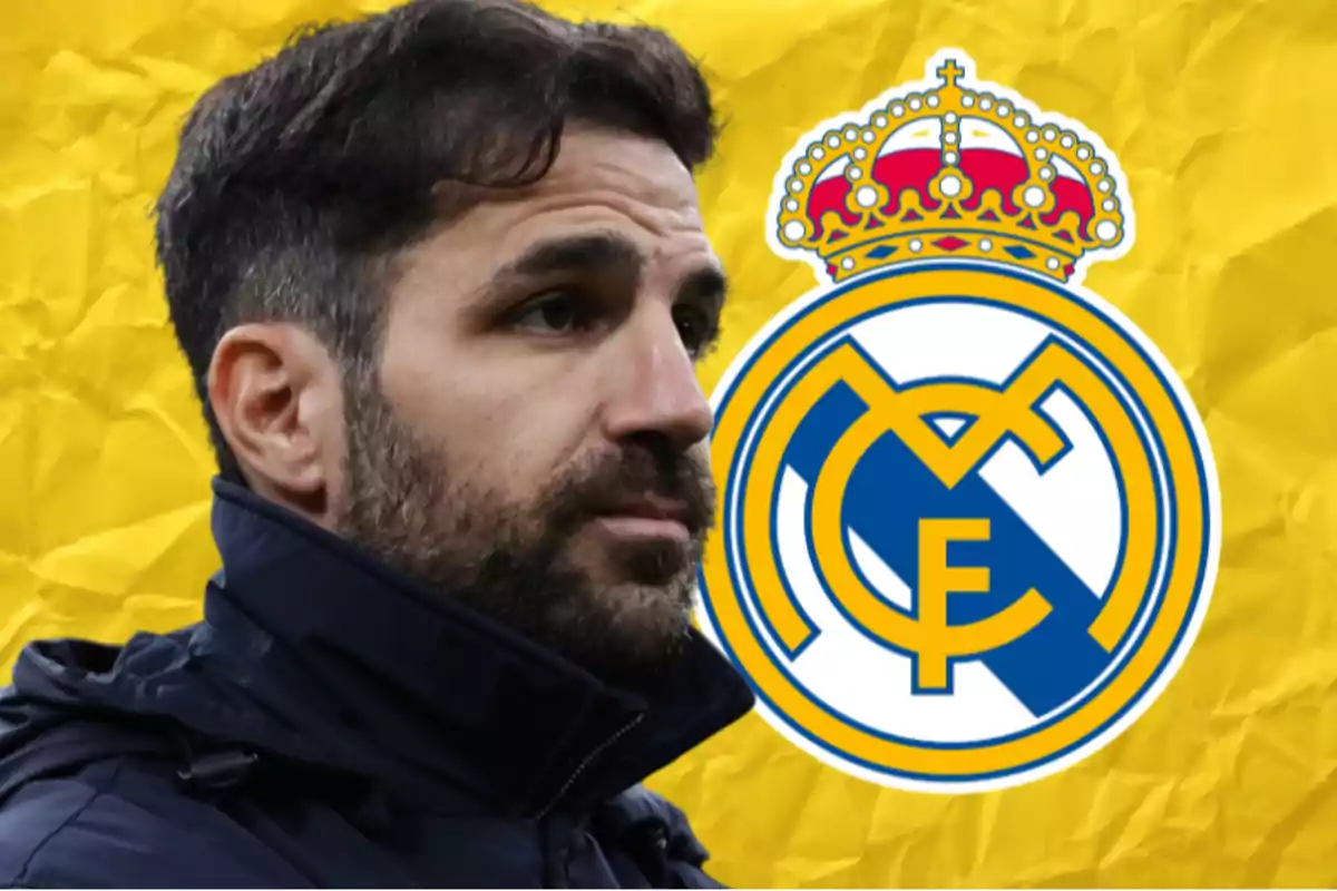 Tiểu sử cầu thủ Cesc Fàbregas - Hành trình huyền thoại từ La Masia đến đỉnh cao bóng đá thế giới Tiểu sử cầu thủ Cesc Fàbregas - Hành trình huyền thoại từ La Masia đến đỉnh cao bóng đá thế giới