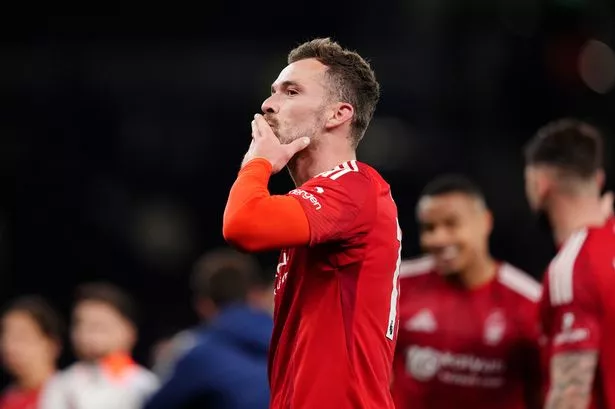Harry Toffolo Cầu Thủ Đầy Cảm Hứng Ở Hành Lang Trái - Chặng Đường Và Sự Nghiệp